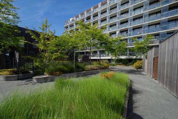 Medium property photo - Pieter van Musschenbroekstraat 153, 2014 HV Haarlem